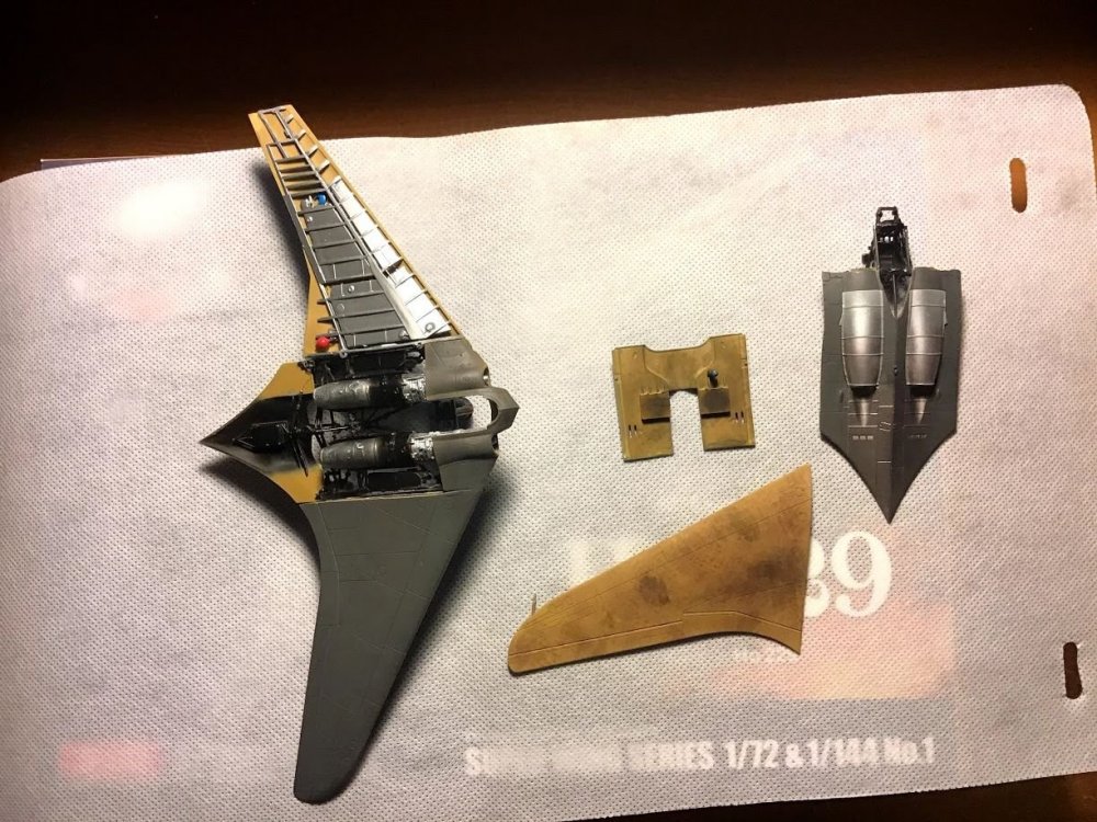 Ho 229 distressed plywood look.jpg