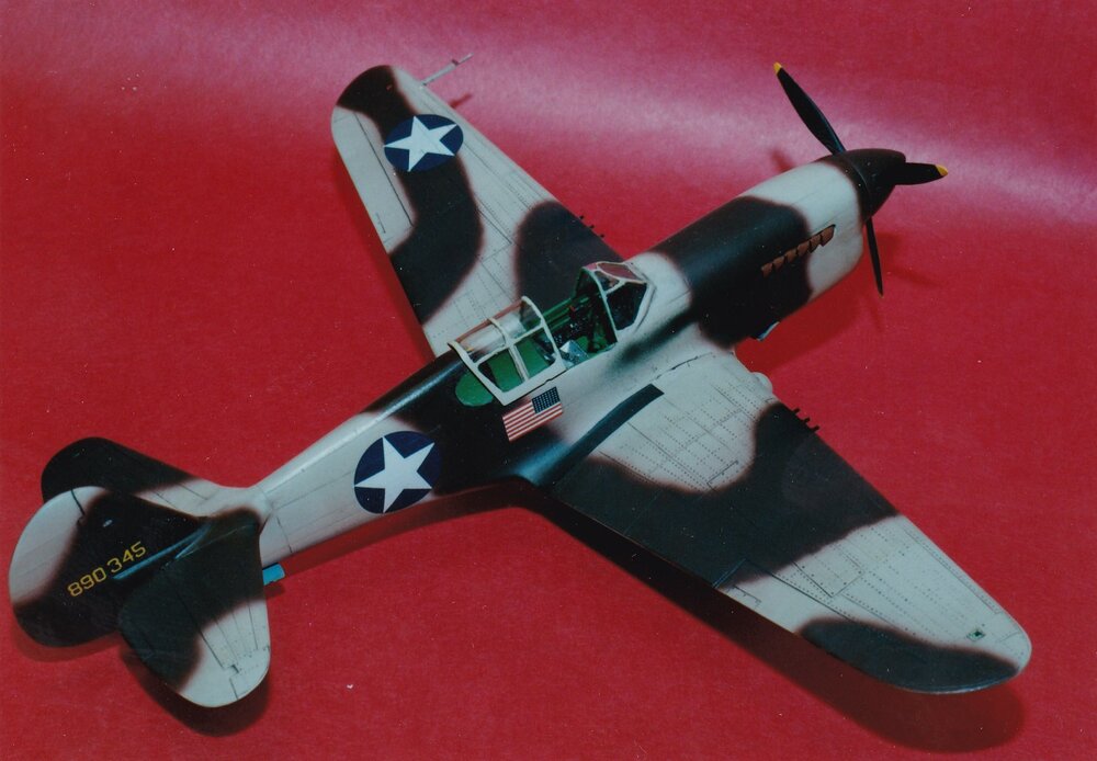 1967615219_SierravacP-40Flongtail.thumb.jpg.f655439b0aa1b0b0d3de06e46c79e84e.jpg