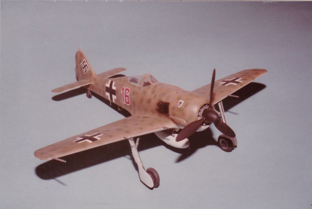 407264633_OtakiFW-190F-8.thumb.jpg.8cea30e9b56402b6b4bc5de4b76216b9.jpg