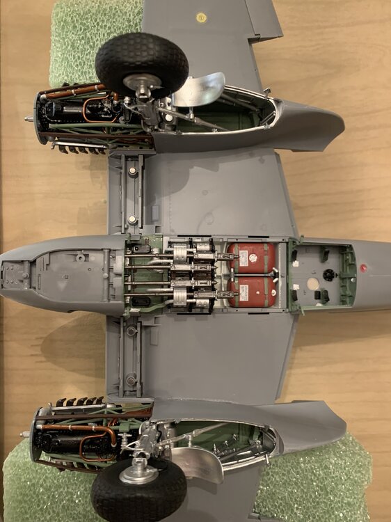 FC1BFE6B-66EC-42EF-B59F-34AC620D0A37.jpeg