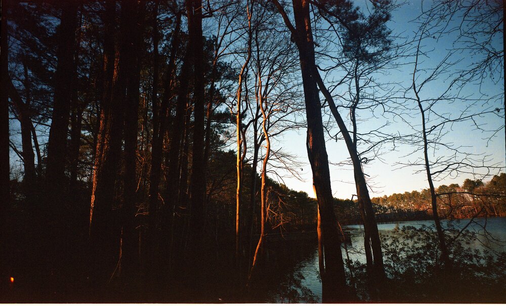 Sandy Bottom Plaubel 10Jan2021_Roll 2003.jpg