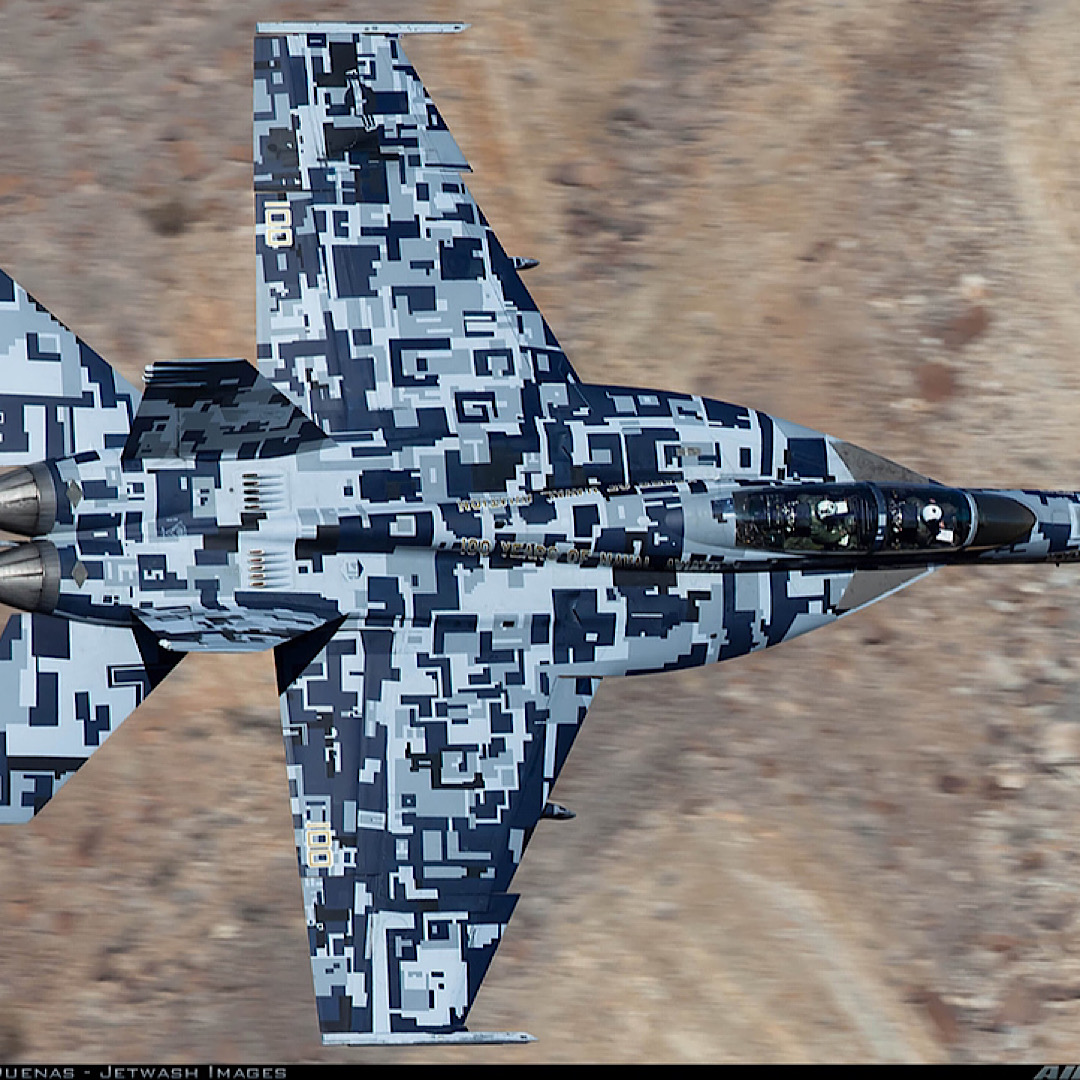 Trumpeter 1/32nd scale F/A-18F Super Hornet - Aircraft - IPMS/USA Forums