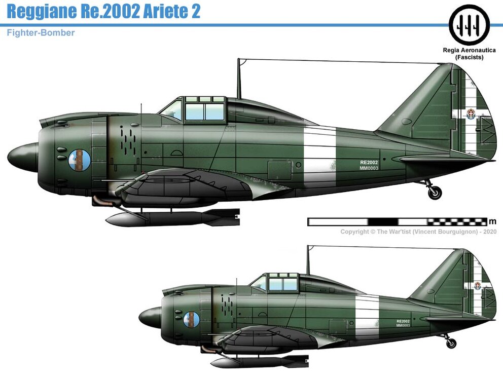 p1.jpg