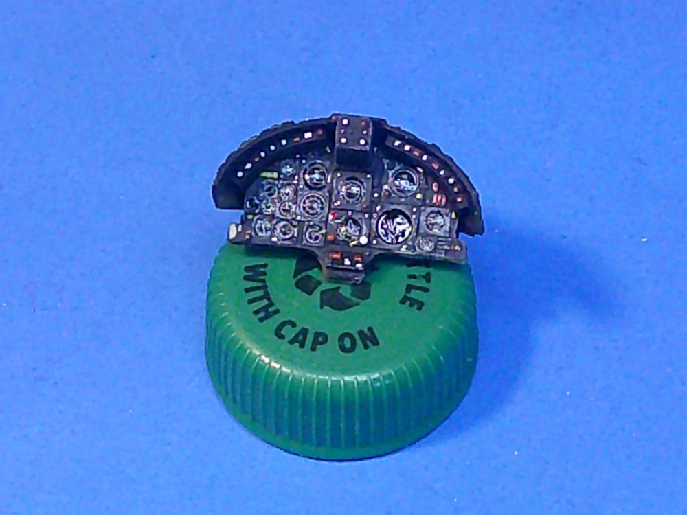 MainIPcloseup.thumb.JPG.ee77f6a1510a5be2653f8c429280426a.JPG