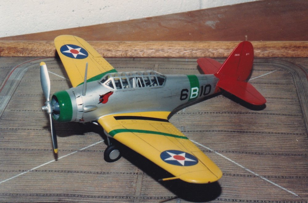 WingsNorthropBT-11rstbuild.thumb.jpg.01ad01bcf4715a8215027e3c3db29f7f.jpg